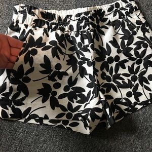 J. Crew Shorts